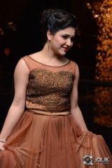 Sarayu At Nee Jatha Leka Audio Launch